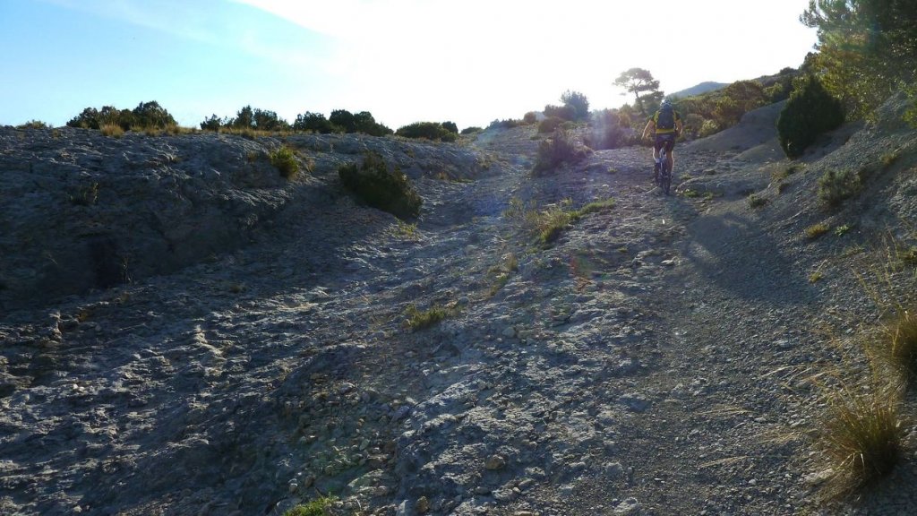 sommet_garlaban_2014_30.jpg