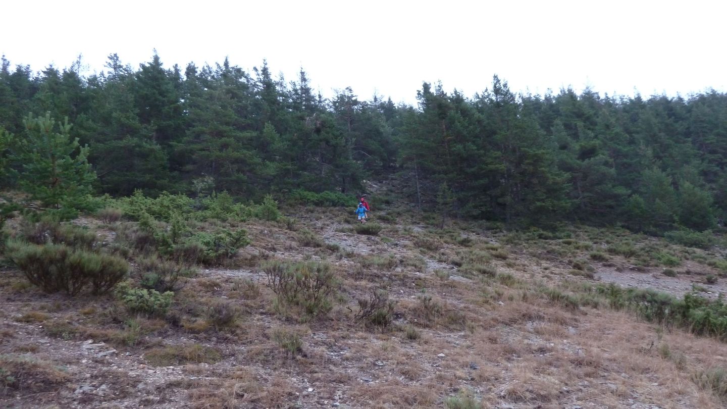 mont_2017_094.JPG
