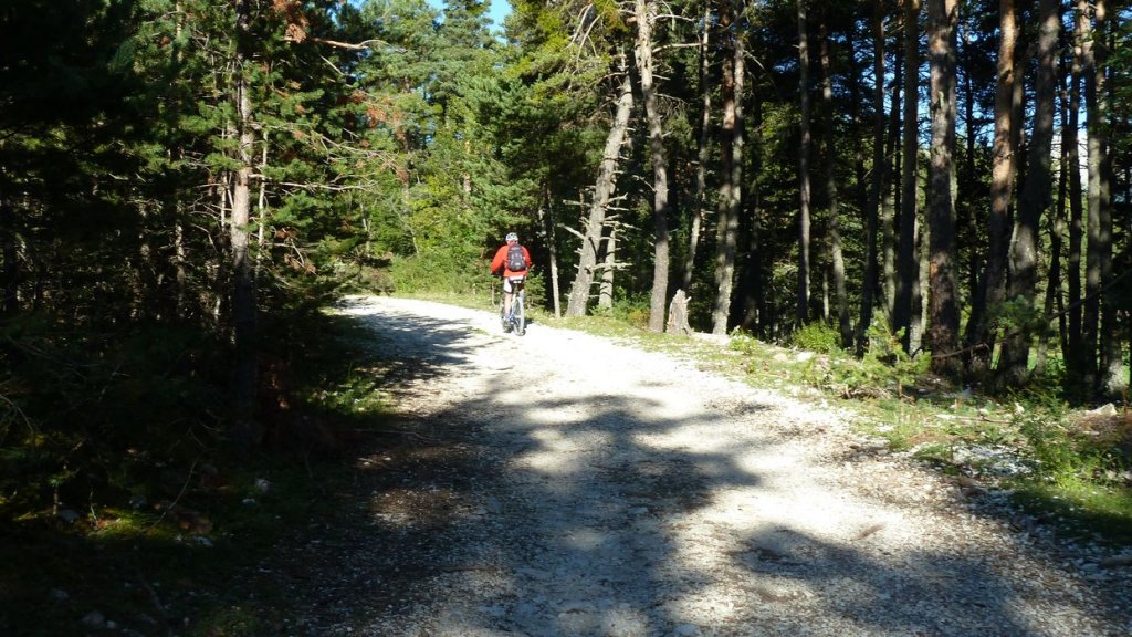 sommet_ticordoeil_aout_2014_004.jpg