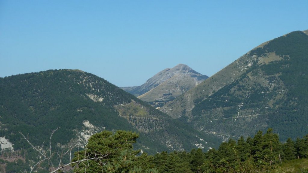 sommet_ticordoeil_aout_2014_062.jpg