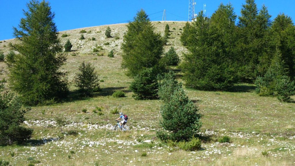 sommet_ticordoeil_aout_2014_094.jpg