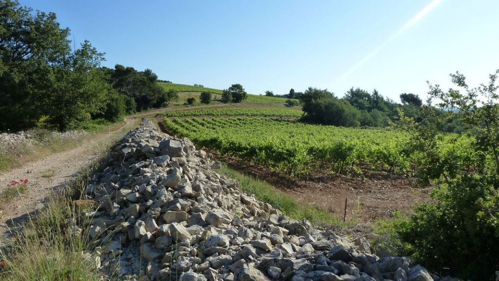 chapelle_st_quinis_juin_2012_010.jpg