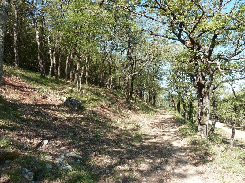 chapelle_st_quinis_juin_2012_024.jpg