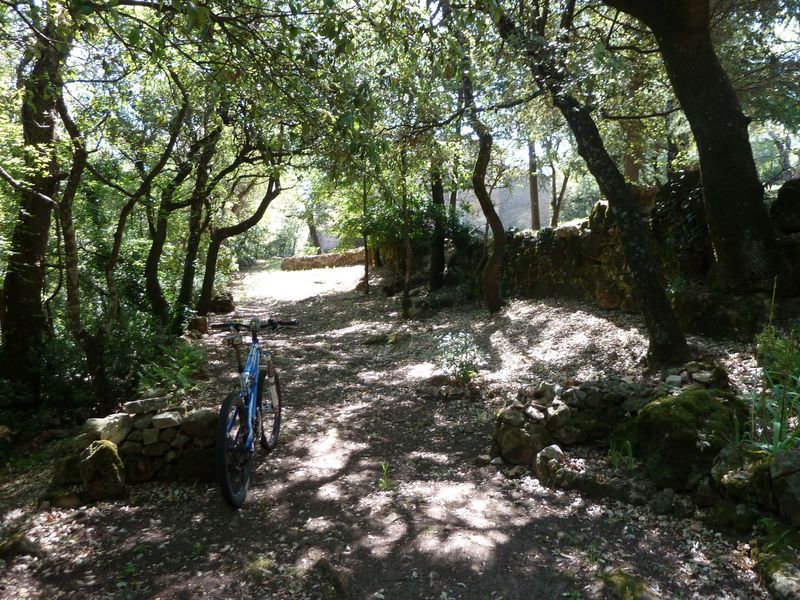 chapelle_st_quinis_juin_2012_036.jpg