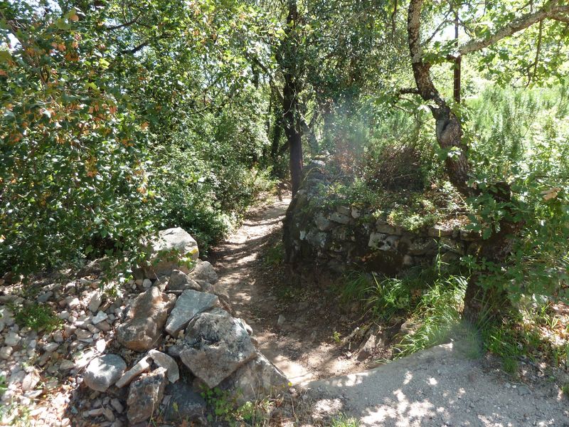 chapelle_st_quinis_juin_2012_062.jpg