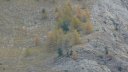ste_anne_2011_057.jpg