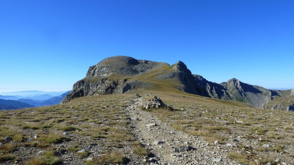 P1160201.JPG