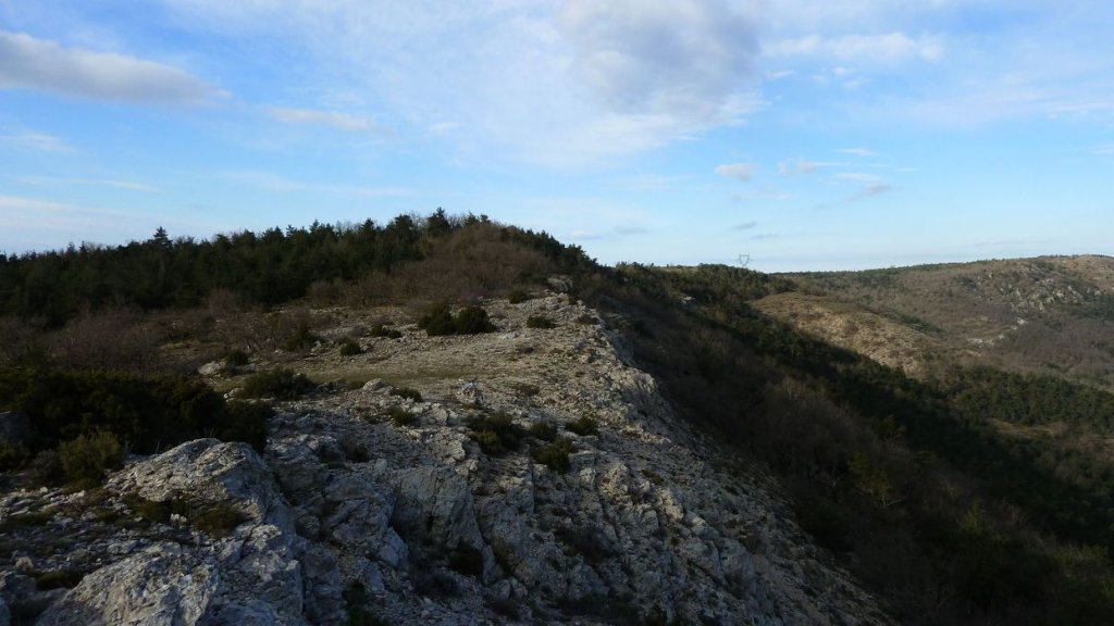 P1110200.JPG