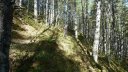 tour_ruinee_2017_055.JPG