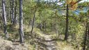 tour_ruinee_2017_109.JPG