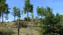 tour_ruinee_2017_139.JPG