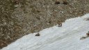 trou_de_laigle_juin_2017_48.JPG