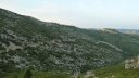 tuny_juillet_2015_071.JPG