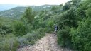 tuny_juillet_2015_079.JPG