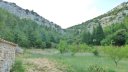 tuny_juillet_2015_169.JPG