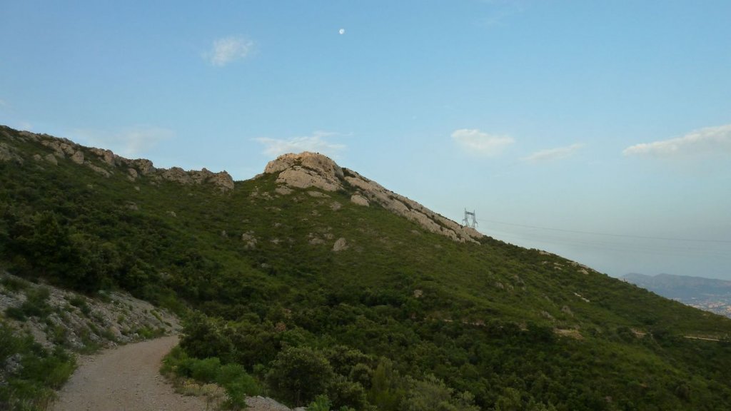 tuny_juillet_2015_051.JPG