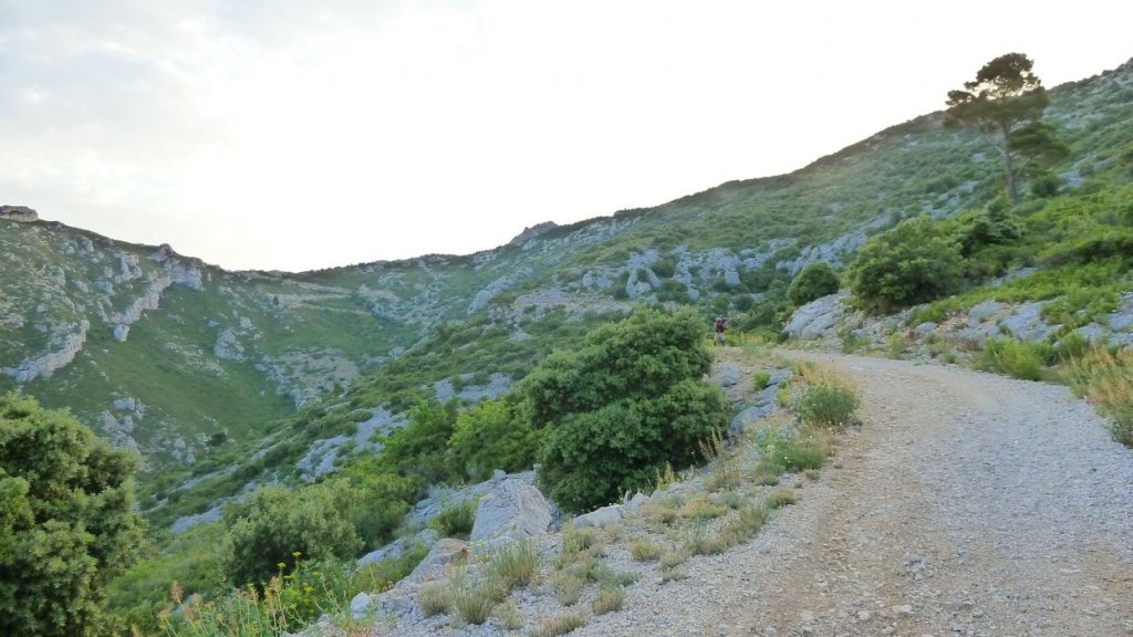 tuny_juillet_2015_055.JPG