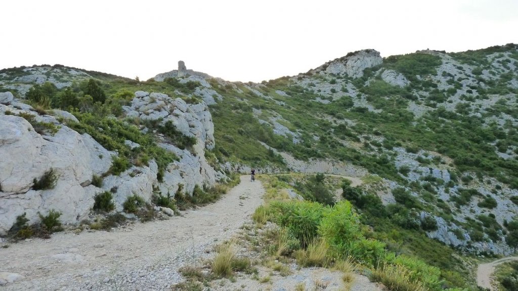 tuny_juillet_2015_073.JPG