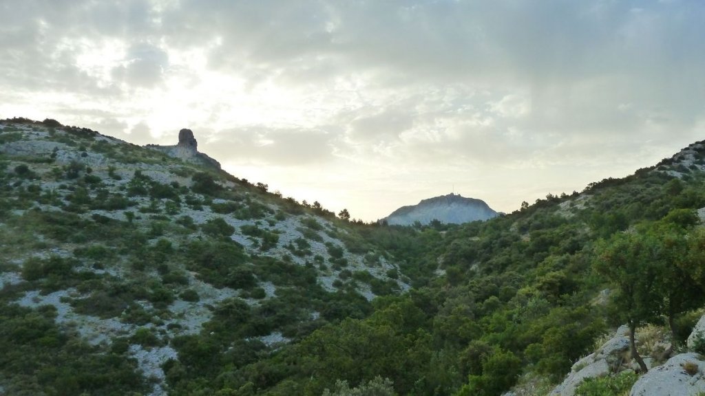 tuny_juillet_2015_089.JPG