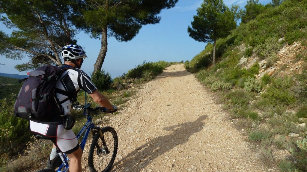 tuny_juillet_2015_177.JPG