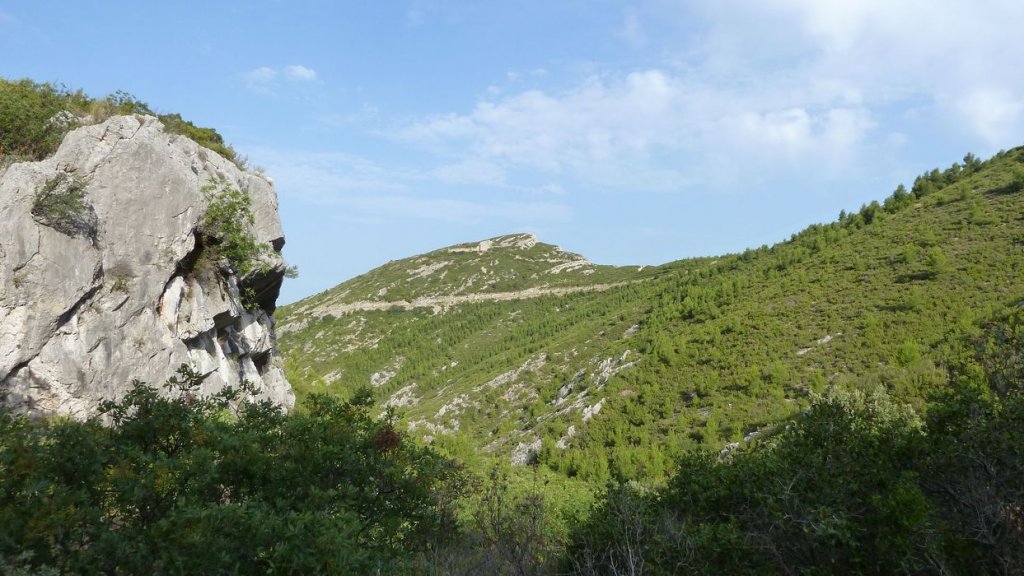 tuny_juillet_2015_211.JPG