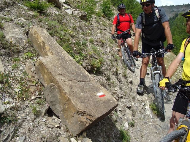 allos_prenier_12.jpg
