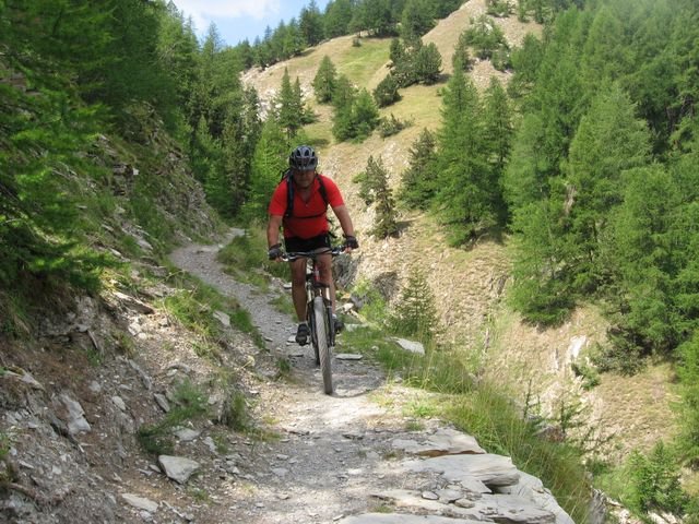 allos_prenier_18.jpg