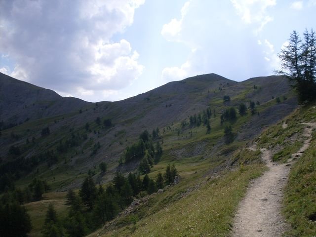 allos_prenier_24.jpg