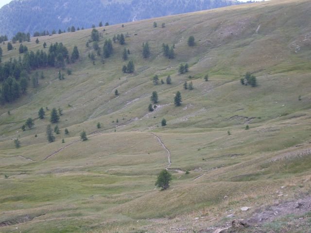allos_prenier_34.jpg