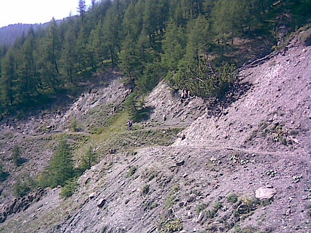 allos_prenier_53.jpg