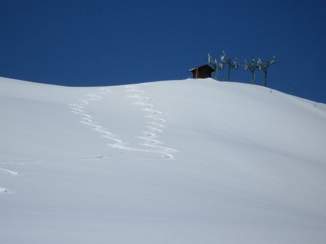 autapie0409_19.jpg