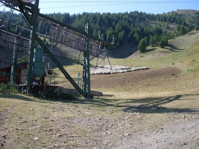 autapie_22.jpg