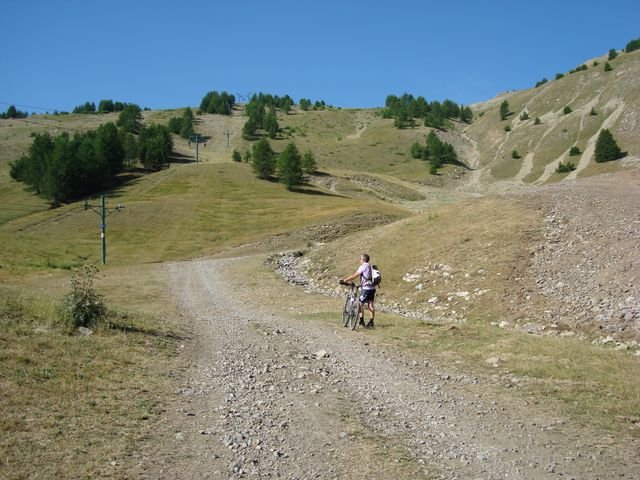 autapie_321.jpg