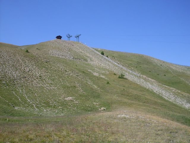 autapie_34.jpg