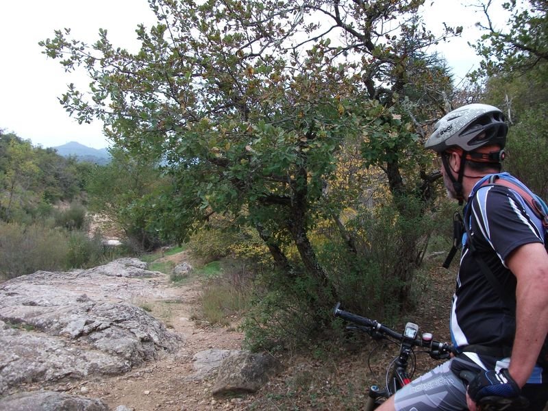 bagnols_en_foret_02.jpg