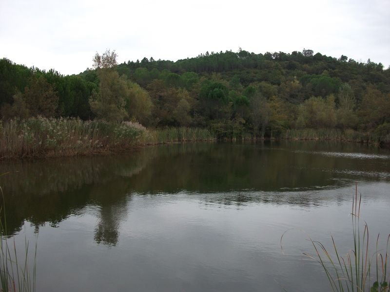 bagnols_en_foret_07.jpg