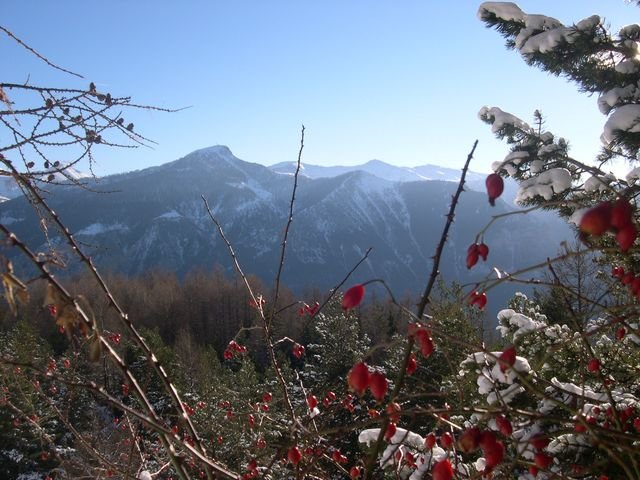 cabane_a_p_hiver_03.jpg