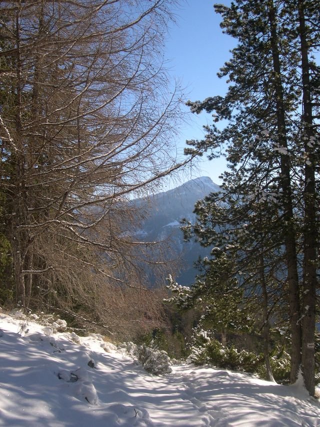 cabane_a_p_hiver_07.jpg