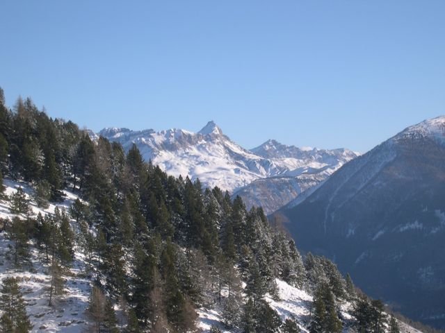 cabane_a_p_hiver_21.jpg