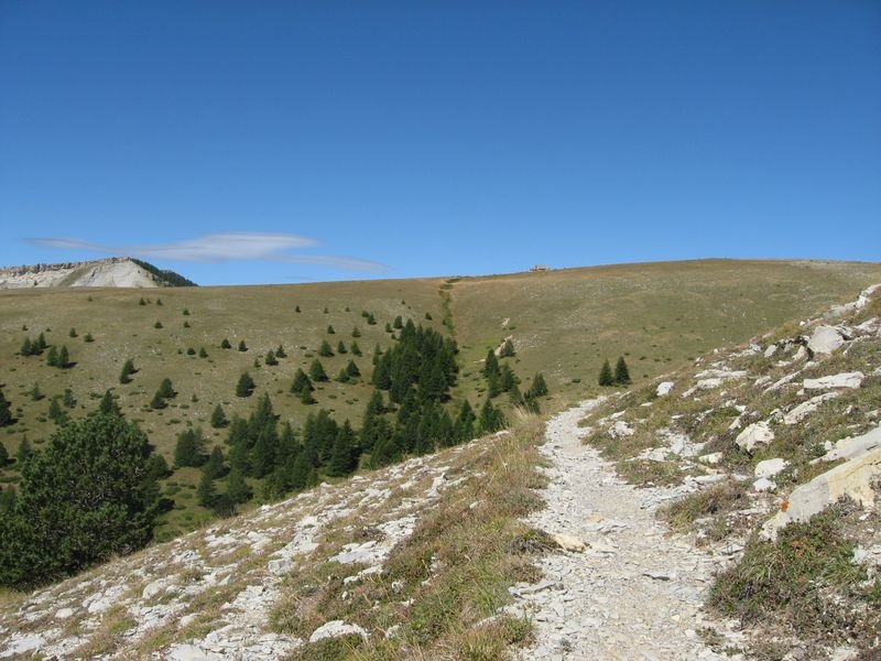 cabane_vieille_47.jpg