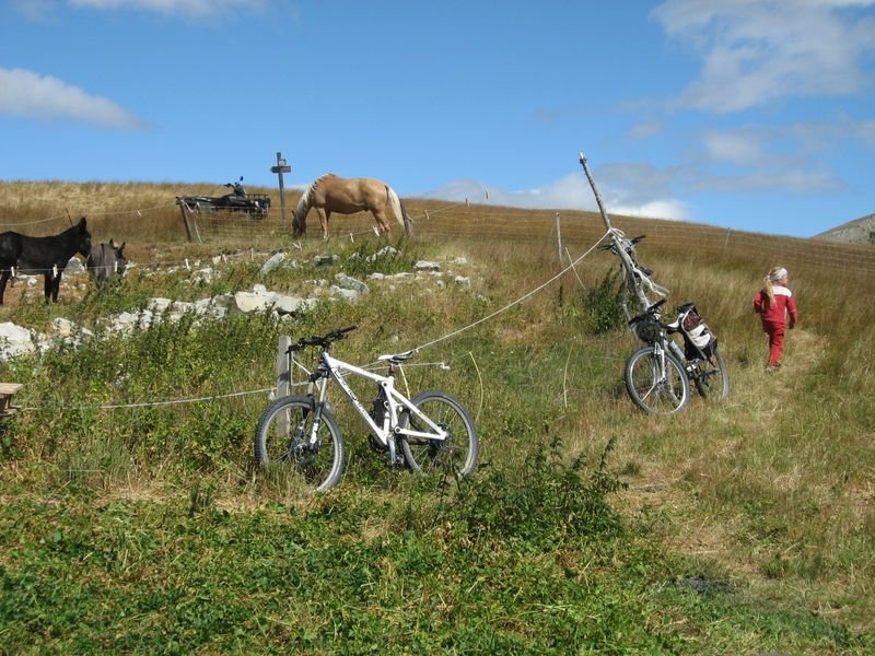 cabane_vieille_50.jpg