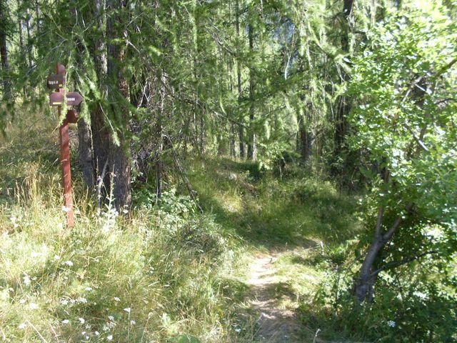 cabanes_du_puy_07.jpg