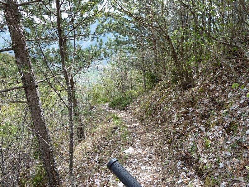 chalvet_avril_2011_25.jpg