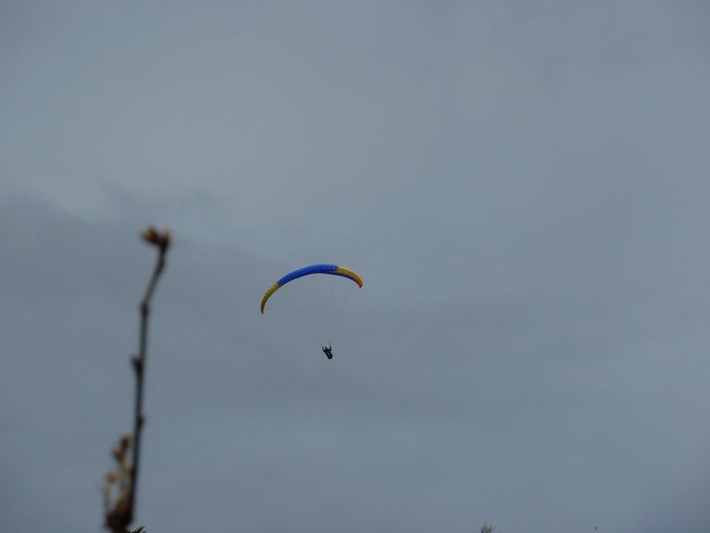 chalvet_avril_2011_26.jpg