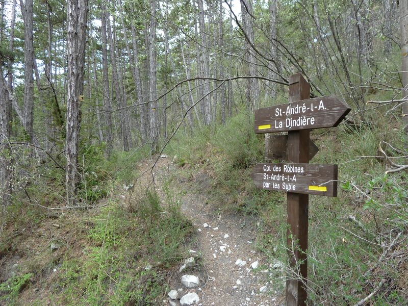 chalvet_avril_2011_41.jpg