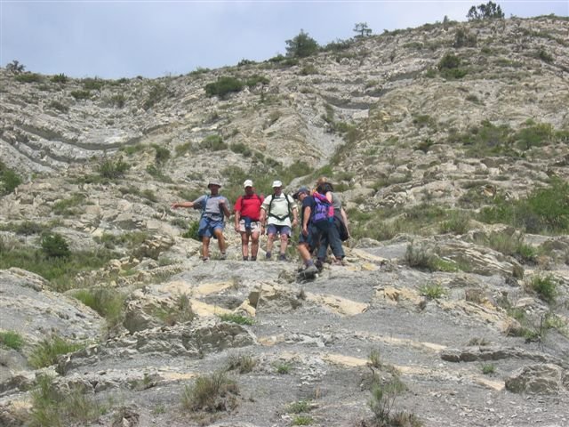 cheinet_282929.jpg