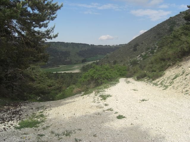 cheval_blanc_04.jpg
