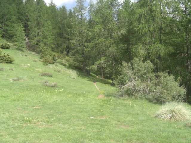 cheval_blanc_08.jpg