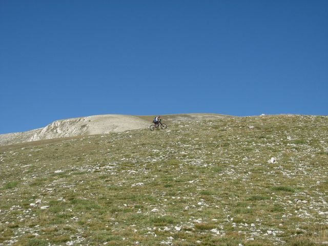 cheval_blanc_41.jpg