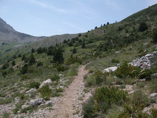 chiran__13_07_2010_31.jpg